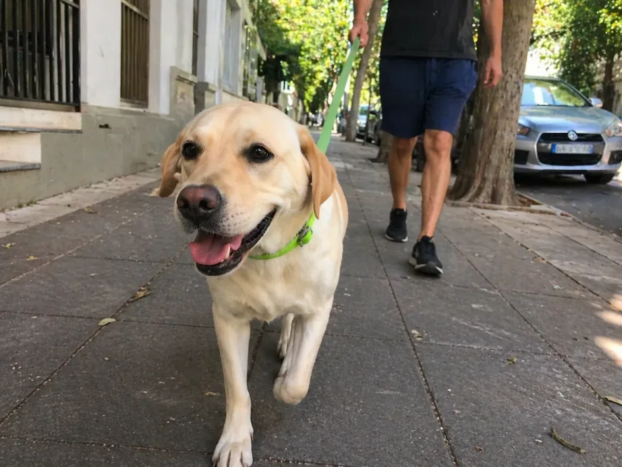 Foto del paseo