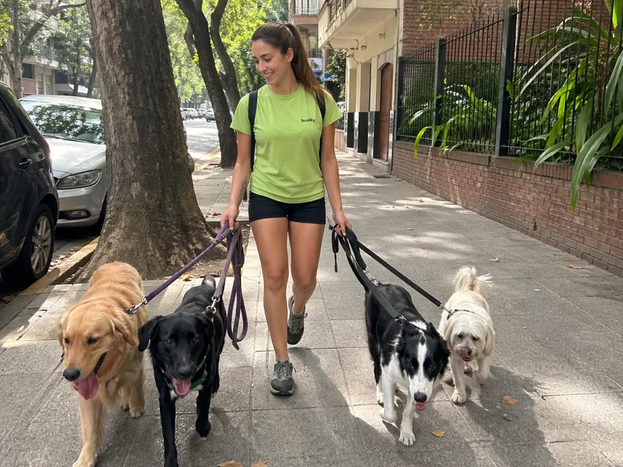 Paseadora de Bualky con 4 perros